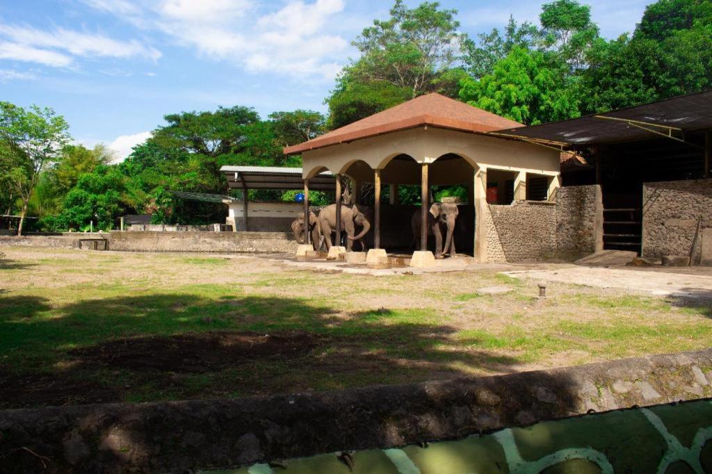 Bhumi Hostel Yogyakarta Exteriör bild